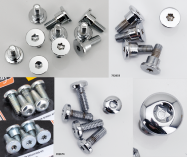 BRAKE ROTOR SCREWS FOR V-ROD